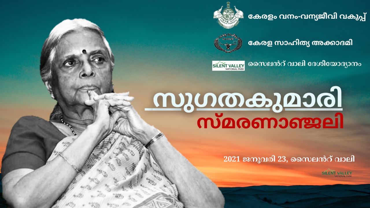 Silent Valley National Park